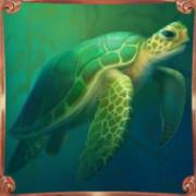 Neptune's Fortune Megaways: Turtle