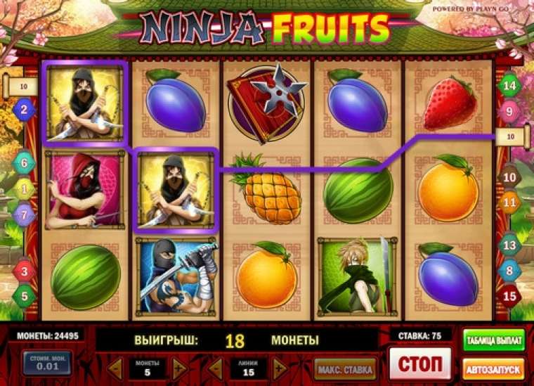 Play Ninja Fruits slot CA