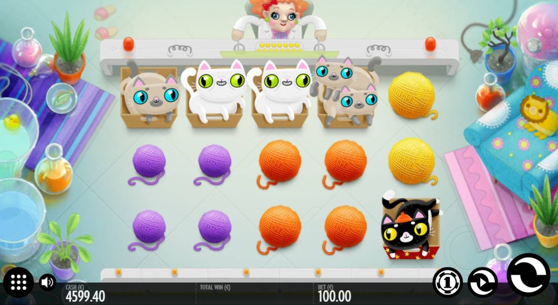 Not Enough Kittens slot