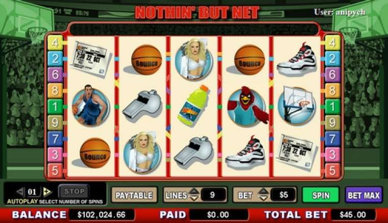 Play Nothin’ But Net slot CA