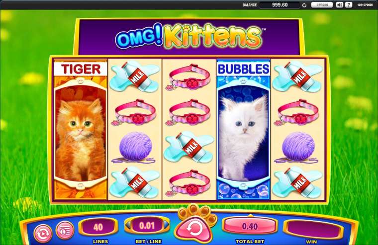 Play OMG! Kittens slot CA