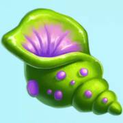 Penny Pelican: Shell
