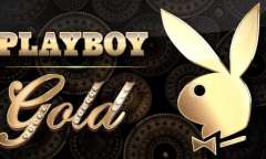 Play Playboy Gold