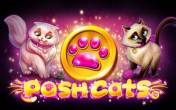 Posh Cats (logo)