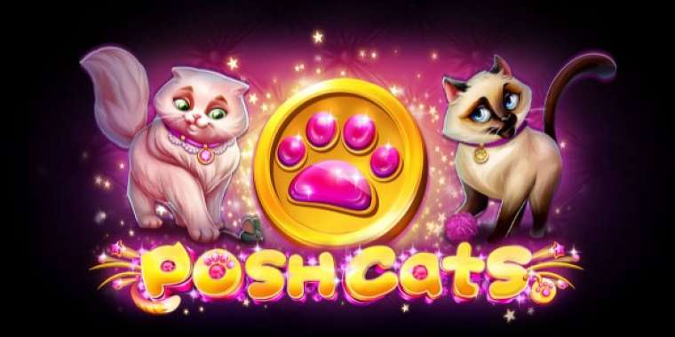 Play Posh Cats slot CA