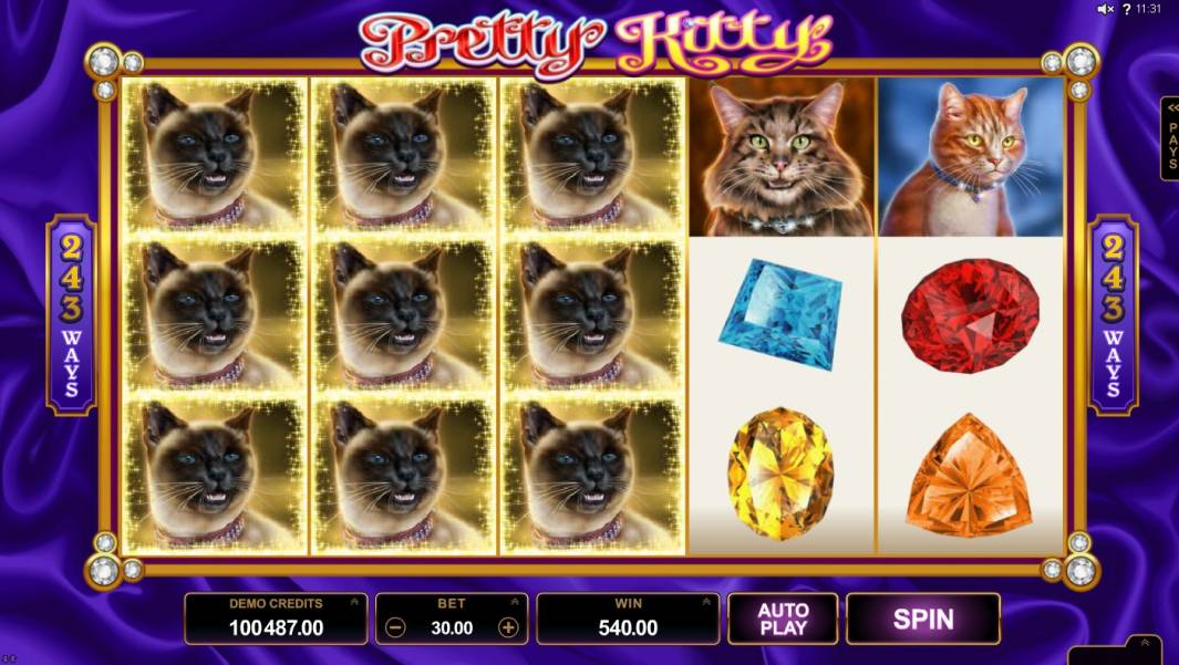 Pretty Kitty slot