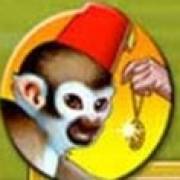 Quest for Gold: Capuchin