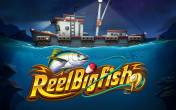 Reel Big Fish (logo)