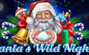 Santa's Wild Night slot