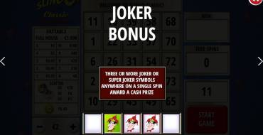 Slingo Classic 20th Anniversary: Bonus games