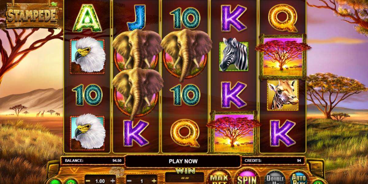 Stampede slot