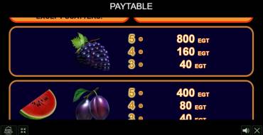 Super 20: Payout table
