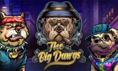 Play The Big Dawgs