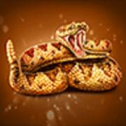 The Border: Snake