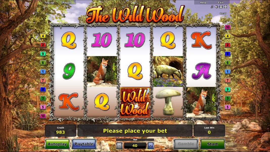 The Wild Wood slot