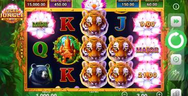 Tiger Jungle Hold and Win: Slot machine