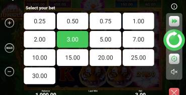 Tiger Jungle Hold and Win: Bets