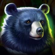Tiger Jungle Hold and Win: Bear