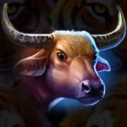 Tiger Jungle Hold and Win: buffalo