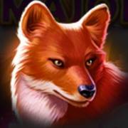 Tiger Jungle Hold and Win: Fox