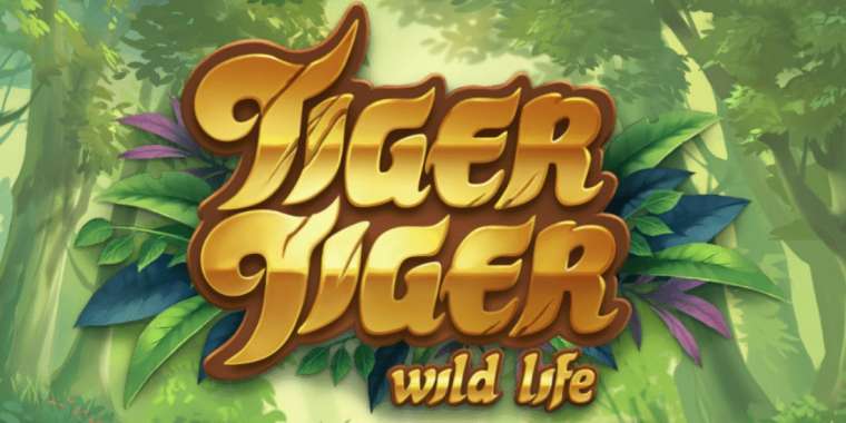 Play Tiger Tiger slot CA