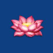 Ultra Blazing Fire Link: Flower