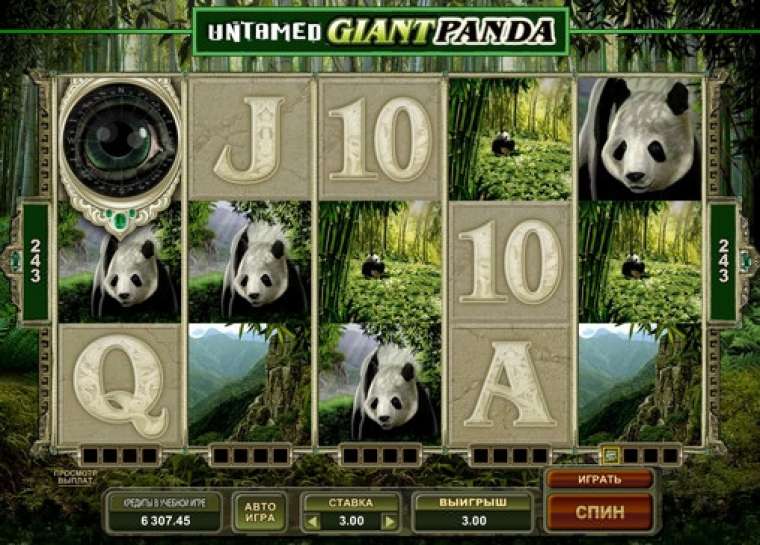 Play Untamed Giant Panda slot CA