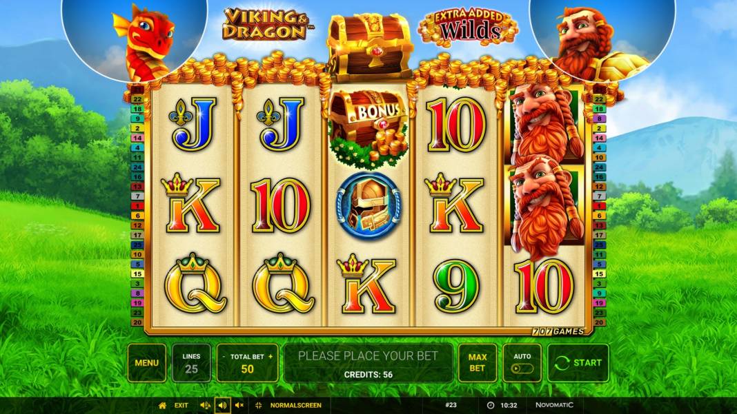 Viking and Dragon slot