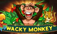 Play Wacky Monkey