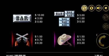 Western Gold: Payout table