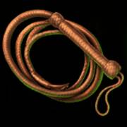 Western Gold: Whip