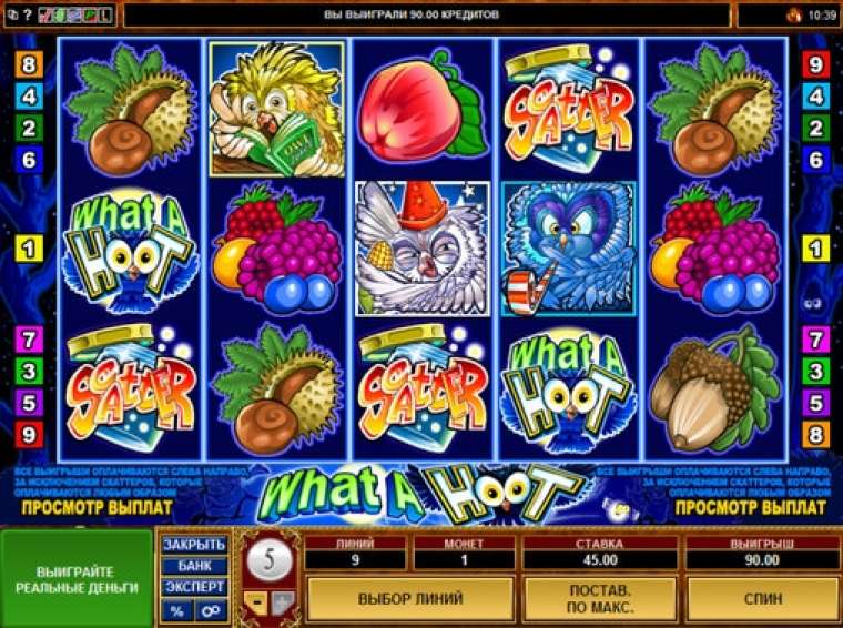 Play What a Hoot slot CA
