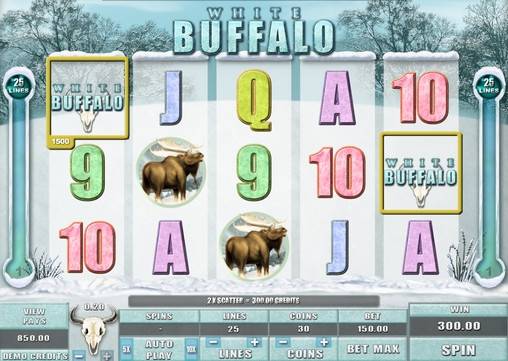 White Buffalo slot