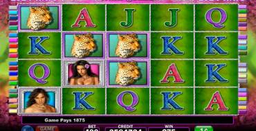 White Orchid: Winnings