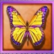 White Orchid: Butterfly