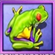 White Orchid: Frog