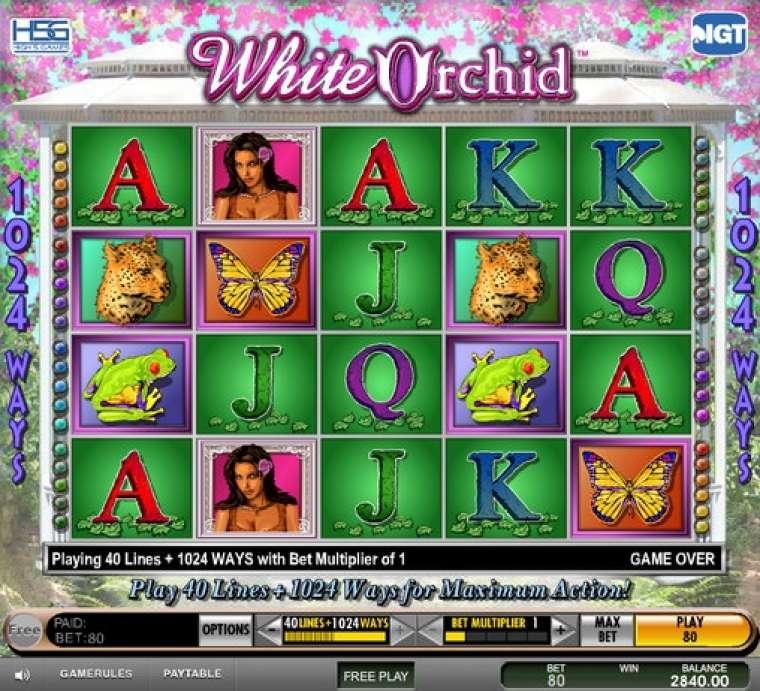 Play White Orchid slot CA