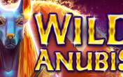 Wild Anubis (logo)