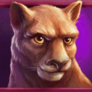 Wild Buffalo: Tiger