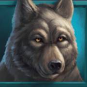 Wild Buffalo: Wolf
