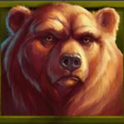 Wild Buffalo: Bear