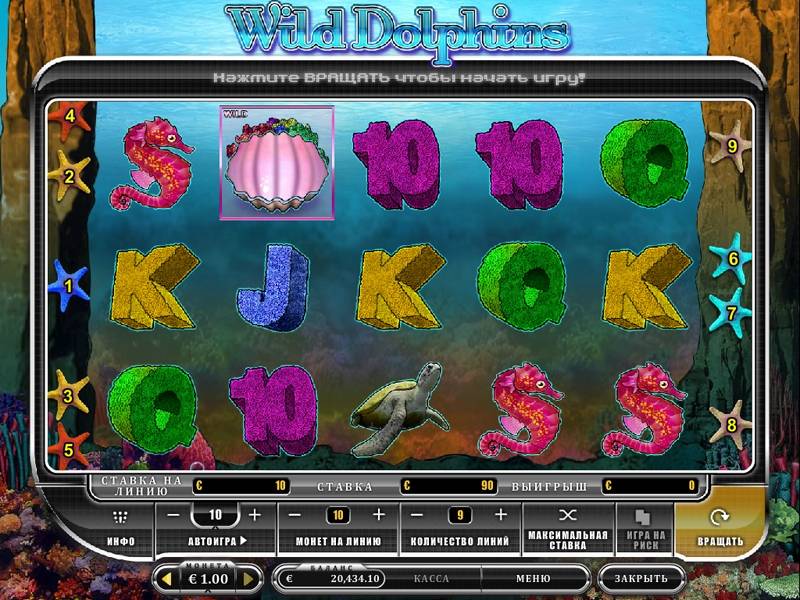 Wild Dolphins slot