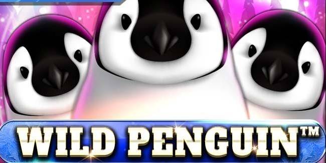 Wild Penguin slot