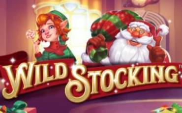 Wild Stocking slot