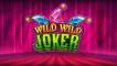 Wild Wild Joker (logo)