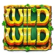 Wild Wild Riches Returns: Wild