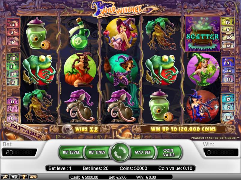 Wild Witches slot