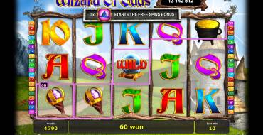 Wizard of Odds: Features