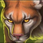 Wolf Legend Spin Boost: Leopard